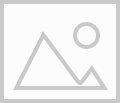 Vereinsmitglieder feiern gemeinsam bei einem Fest